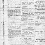 NewspapersFolder1867 – 1867Dec19FemPrisExp